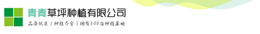 Kaiyun·开云中国官方网站 - 全球GPU领导者